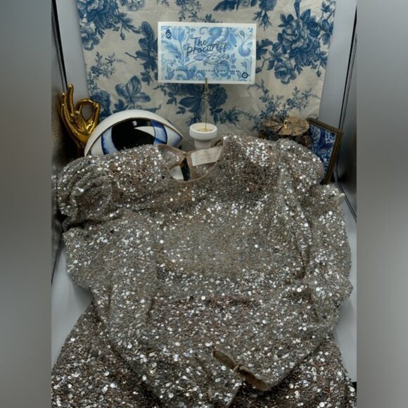 🆕 BRONX & BANCO 🧿 NWOT Tessa Silver Sequin Mini Dress, Sz L US 8 - Picture 2 of 15